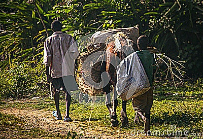 Man and boy accompany horse with goods along road in rural Haiti. Editorial Stock Photo