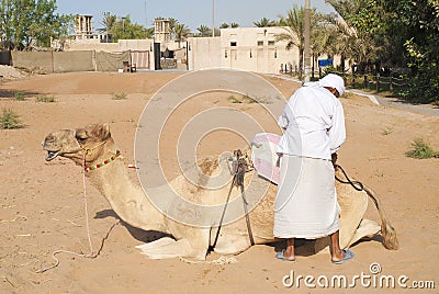 Man with camel in dubai Editorial Stock Photo