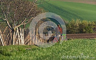 Man In A Cap And Red Checkered Shirt Rides Along The Road Amidst A Green Spring Field On A Small Tractor,Loaded With Tools And Var Editorial Stock Photo