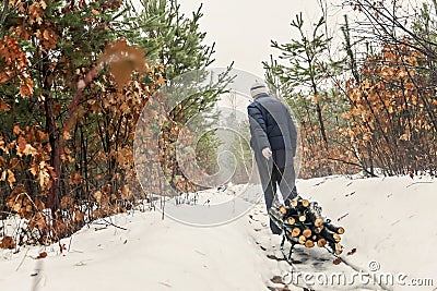 Man carries wood on a sled in the winter snowy forest Editorial Stock Photo