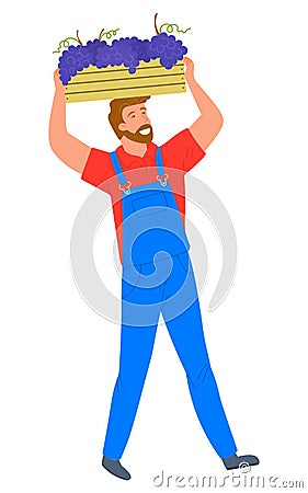 Man Carrying Wooden Container, Bunches of Grapes Vector Illustration