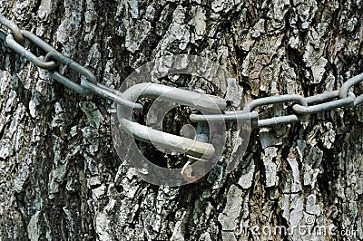 Man: Chaining Nature Stock Photo