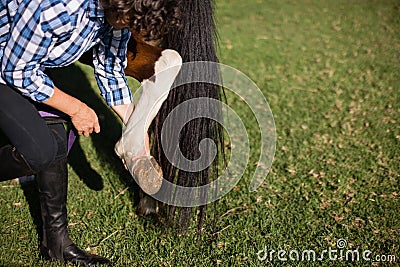 Man cleaning horse hoof Stock Photo