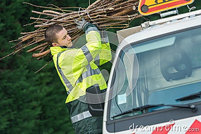 Man collectiong three branches Stock Photo