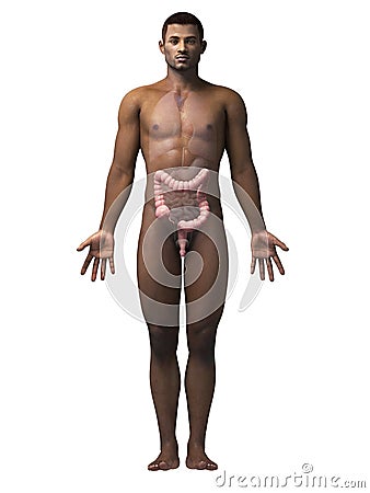 Man - colon Stock Photo