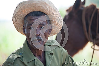 Man working at Tobacco Farm Editorial Stock Photo