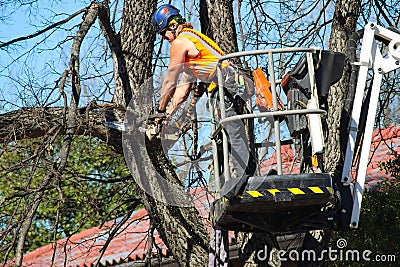 Man on a crane up in a tree trimming a branch with a chain saw with wood chips flying Tulsa Oklahoma USA 3 6 2018 Editorial Stock Photo