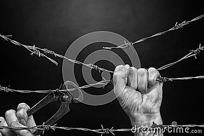 Man is Cutting a Fence Stock Photo