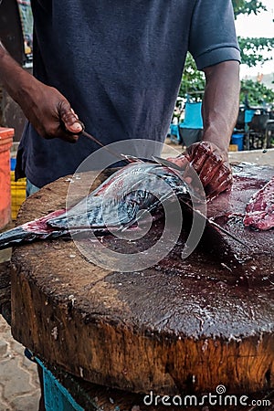 Man cutting fresh tuna with huge knife in Weligama In Sri Lanka. Stock Photo