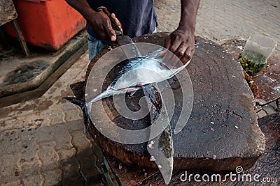 Man cutting fresh tuna with huge knife in Weligama In Sri Lanka. Stock Photo
