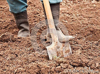 Man dig a shovel Stock Photo