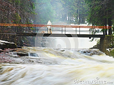 Man with dog on bridge over troubled water. Huge stream of rushing water masses below small footbridge. Fear of floods. Stock Photo