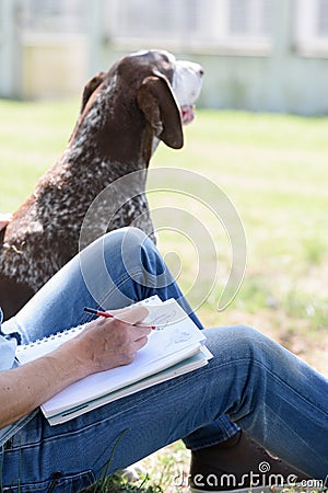 Man with dog in park on sunny day Stock Photo