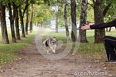 Man and dog walking in autumn park Stock Photo