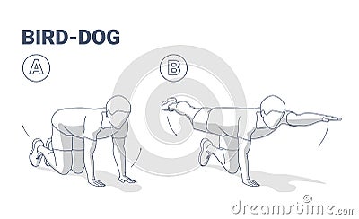 Man doing bird dog exercise home workout guidance vector illustration. Vector Illustration