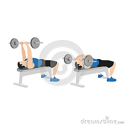 Man doing Flat bench barbell skull crushers exercise. Vector Illustration