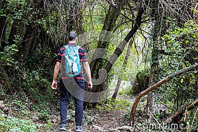 Man doing hiking Stock Photo