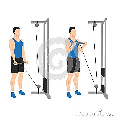 Man doing Straight bar low pulley cable curl. Flat vector Cartoon Illustration
