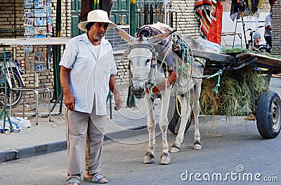 Man with Donkey & Cart, Tozeur, Tunisia Editorial Stock Photo