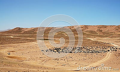 Man on a donkey and flock of sheep between Chaghcharan and the Minaret of Jam in Afghanistan Stock Photo