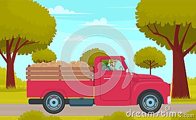Man driving lorry with potato harvest on rural field road against green trees. Car with vegetables Vector Illustration