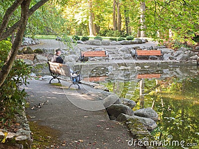 Man at Duck Pond in Autumn Stock Photo