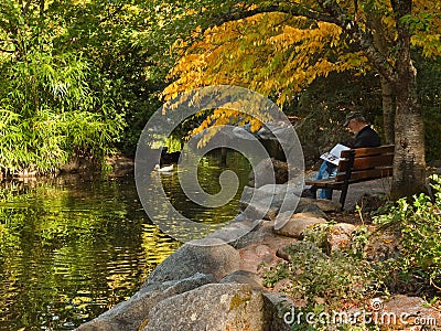 Man at Duck Pond in Autumn Stock Photo