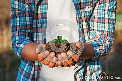 Man farmer holding young plant in hands against spring background. Earth day Ecology concept. Close up selective focus on Person h Stock Photo