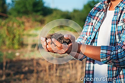 Man farmer holding young plant in hands against spring background. Earth day Ecology concept. Close up selective focus on Person h Stock Photo