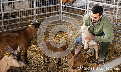 Farmer squatting with goatling in shed Stock Photo