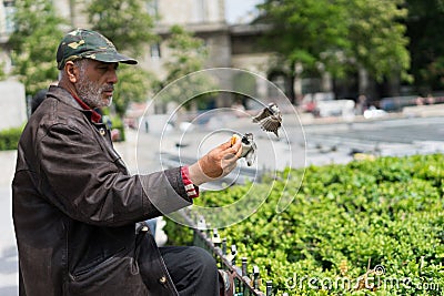 Man feed birds Editorial Stock Photo