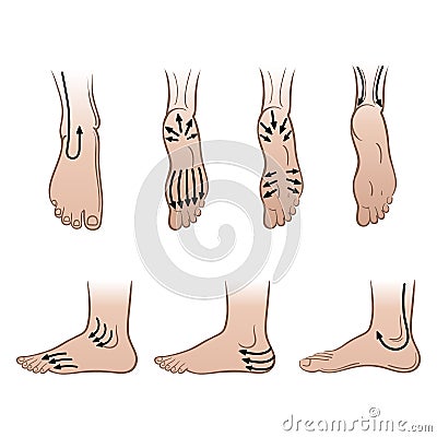 Man feet with massaging lines Vector Illustration