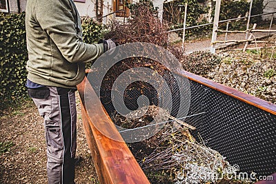 Man filling green waste and plant cuttings into raised bed Stock Photo
