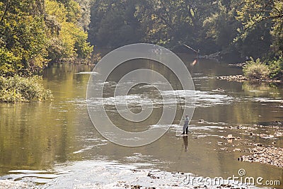 Man, fisherman, fishing inside the waters of the Juzna Morava river with his rod. Editorial Stock Photo