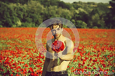 Man with flowers. guy with muscular body in field of red poppy seed Stock Photo