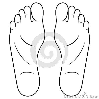 Man foot drawing cartoon, shoe size foot anatomy human sole Vector Illustration