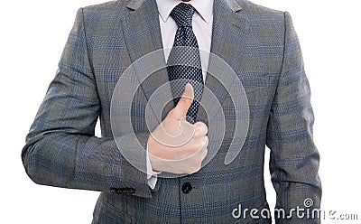 man in formalwear show approve gesture, cropped view. businessman in elegant suit. approve gesturing. formal suit jacket Stock Photo