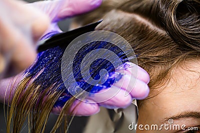 Man in gloves is dying long blue hair colorfull. Beauty salon, Barber. Stock Photo