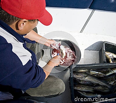 Man gutting fish Stock Photo