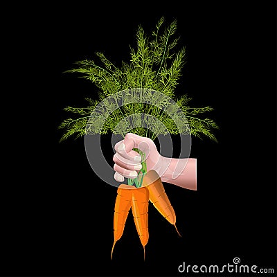 Hand holding carrots Vector Illustration