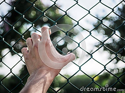 Man hand holding on chain link fence to remember Human Rights Da Stock Photo