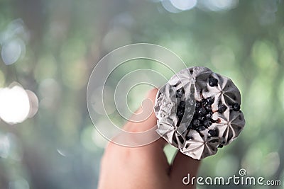 Man hand holding chocolate ice cream cone on a blur nature background Stock Photo