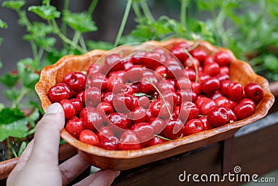 Man hand holding fresh bowl of cherry Stock Photo