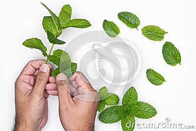 Man hand with mortar grind and herbs isolated on white background. For copy space Stock Photo