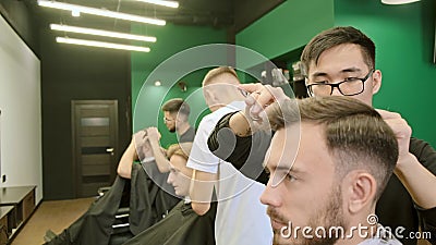 Professional Hair Cutting in Beauty Salon Stock Video - Video of long,  barber: 79744535
