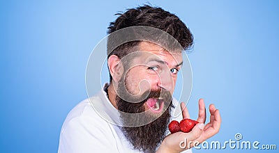 Man happy face open mouth with beard eats strawberries. Want to try my berry Hipster bearded holds strawberries on palm Stock Photo