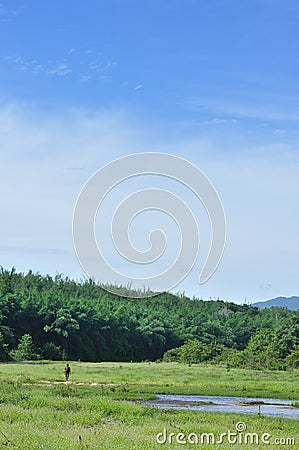 Man hiking at Huai Kha Khaeng Wildlife Sanctuary, Thailand Stock Photo