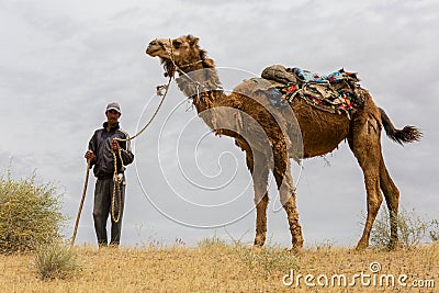 A man with his camel in the Kyzylkum desert in Uzbekistan, looks at me. Editorial Stock Photo