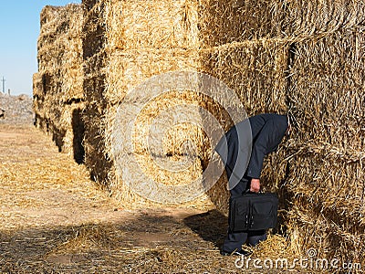 Man with his head stuck in haystack Stock Photo