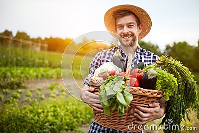 Man holding basket with organic vegetables Stock Photo